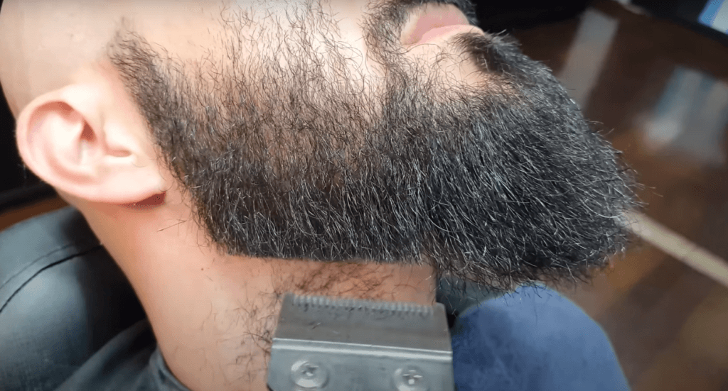 perfil barba espartano